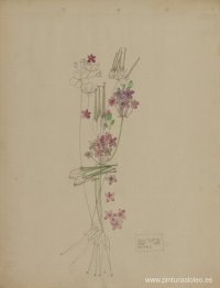 Pico de cigüeña, Isla Sagrada