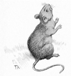 Ratón