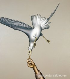 Alimentación de gaviotas