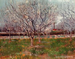 Huerto en flor (ciruelos)