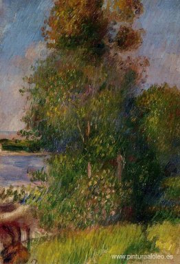 Paisaje