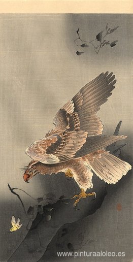 Águila en picada