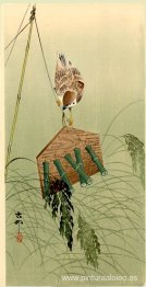 Gorrión y Espantapájaros