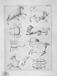 Ocho signos del Zodíaco