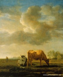 Vacas en un prado