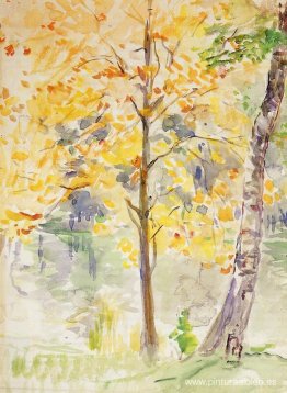 Colores de otoño en el Bois de Boulogne