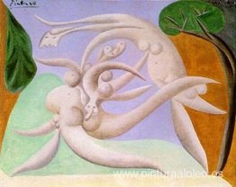 Desnudos