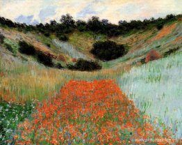 Campo de amapolas en un hueco cerca de Giverny