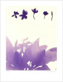 Sin título (Flores)