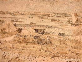 Paisaje de cosecha