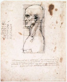 Busto de hombre de perfil con medidas y notas.