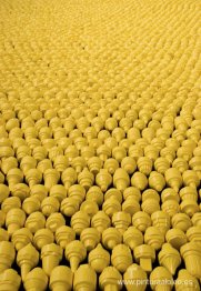 Más de diez mil obras individuales