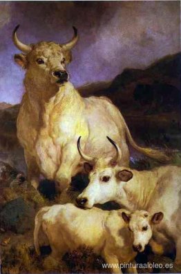 El ganado salvaje de Chillingham