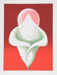 Tulipán abstracto