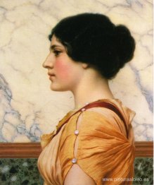 cassotis