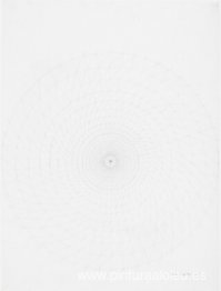 Serie de cabeza de girasol