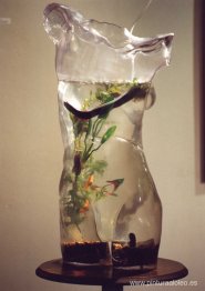 Peces de colores y bichos del café