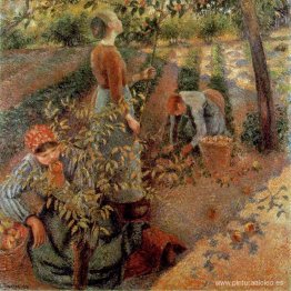 Los recolectores de manzanas
