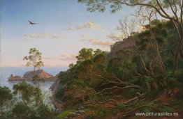 Árboles de té cerca de Cape Schanck, Victoria