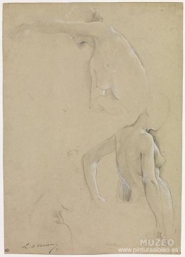 estudios de desnudo femenino, una mitad del cuerpo