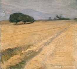 Campo con pajares
