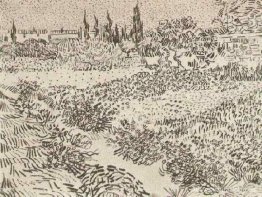 Jardín con flores
