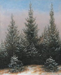 Abetos en la nieve
