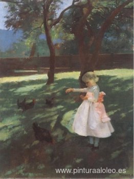Alimentando a las gallinas