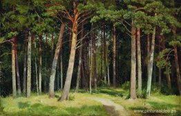 bosque de pinos