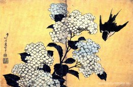 Hortensia y golondrina