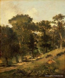 Postwick Grove, Norwich