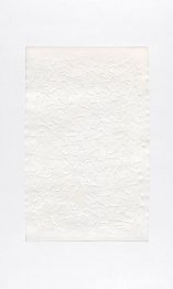 Unidad del papel