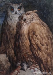 dos búhos