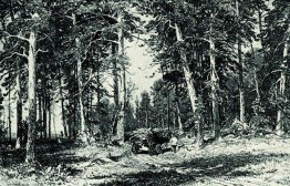 Bosque