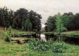 paisaje con un estanque