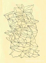 Grafomanía entópica