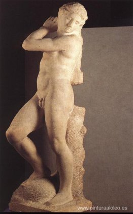 Apolo