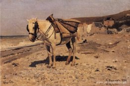 Caballo para la recogida de piedras en la Vela.