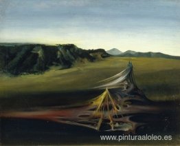 Paisaje Orgánico