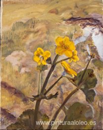 Recuerdo de Kingcups de Glen Artney