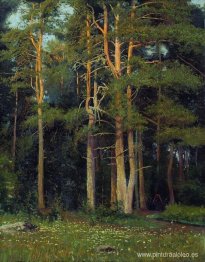 Bosque de pinos en Ligovo