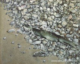 Peces y rocas Peces y rocas