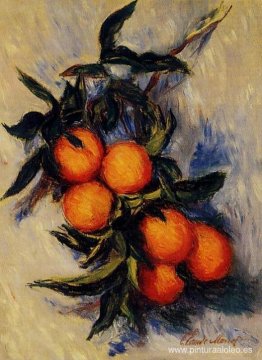 Rama de naranja con frutos Rama de naranja con frutos