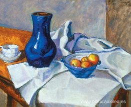 naturaleza muerta naturaleza muerta