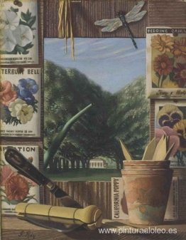 Amapola de California nº 11 Amapola de California nº 11