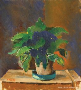 pensamientos pensamientos