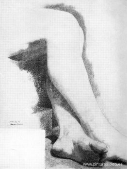 Piernas de un modelo sentado Piernas de un modelo sentado