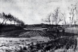 Campo de patatas detrás de las dunas Campo de patatas detrás de las dunas