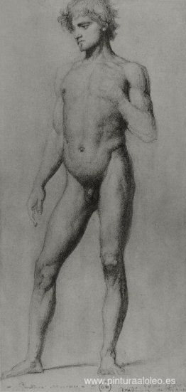 desnudo masculino desnudo masculino