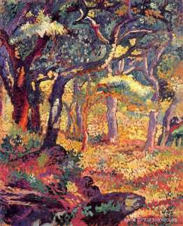 Estudio para el claro Estudio para el claro